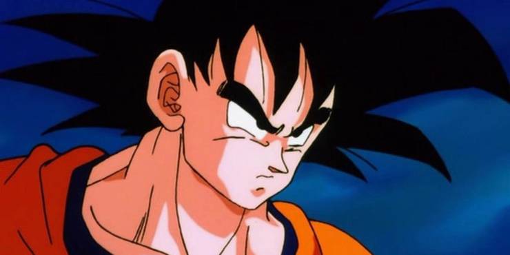 Dragon Ball 25 Crazy Facts About Goku And His Family Dragon Ball 25 Crazy Facts About Goku And His Family